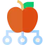 Knowledge icon 64x64