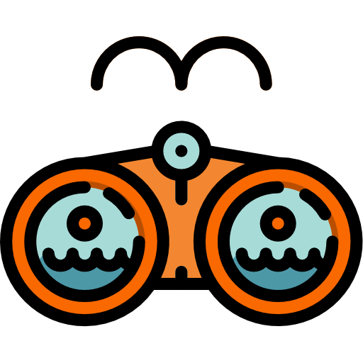 Binoculars icon
