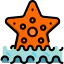 Starfish biểu tượng 64x64