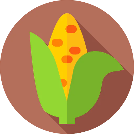 Corn Symbol