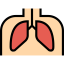 Lungs Ikona 64x64