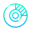 Circular diagram icon 64x64
