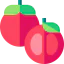 Tomato icon 64x64