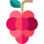 Grapes icon 64x64