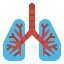 Lungs ícono 64x64