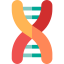Dna icon 64x64