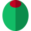 Olive icon 64x64