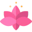 Lotus flower biểu tượng 64x64