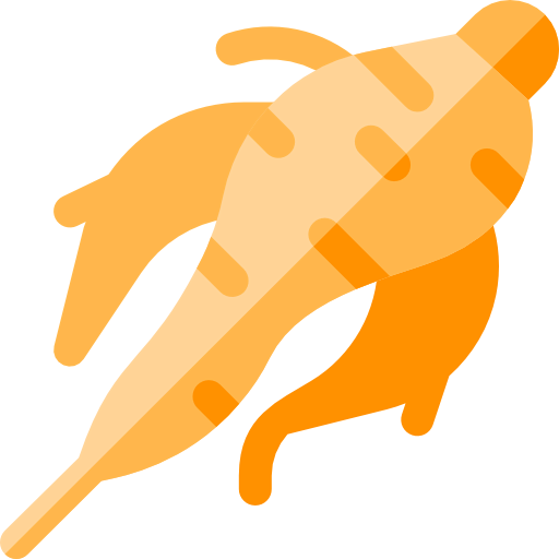 Женьшень иконка