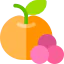 Fruit biểu tượng 64x64