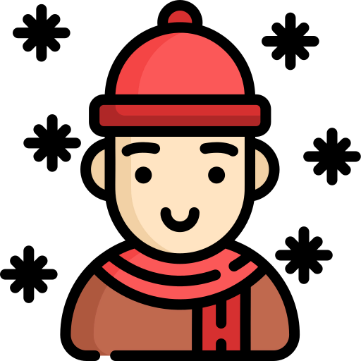 Winter icon