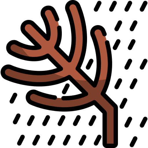Tree icon