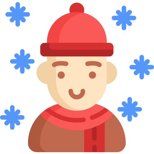 Winter icon