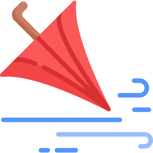 Windy icon