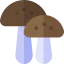 Mushrooms icon 64x64