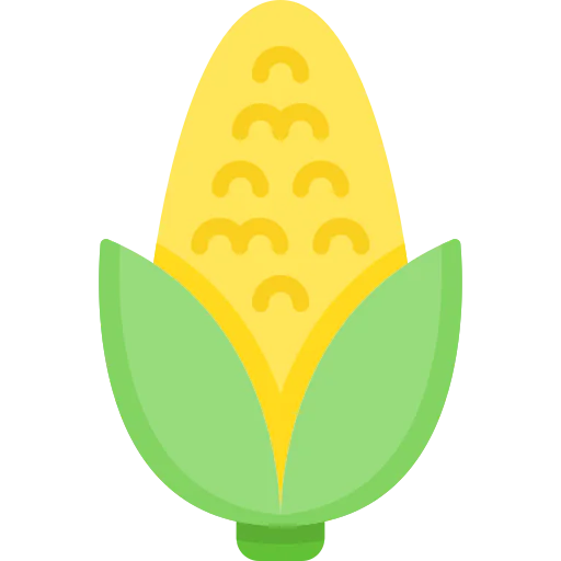 Corn icon