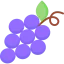 Grape Ikona 64x64