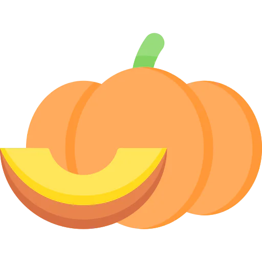 Pumpkin icon