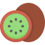 Kiwi icône 64x64