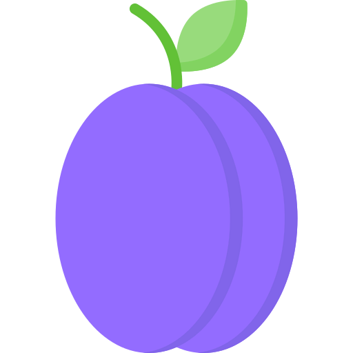 Plum 图标