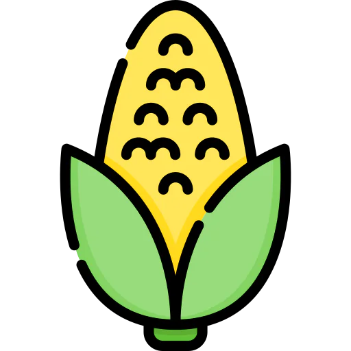 Corn icon