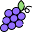 Grape іконка 64x64