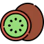 Kiwi icon 64x64