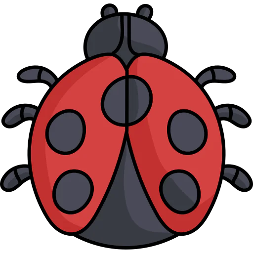 Ladybug icon