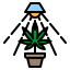 Cannabis icon 64x64