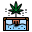 Hydroponic icon 64x64