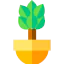 Plant icon 64x64