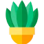 Plant icon 64x64