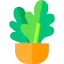 Plant icon 64x64