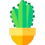 Cactus icon 64x64