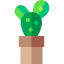Cactus icon 64x64