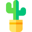 Cactus icon 64x64