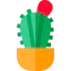 Cactus icon 64x64