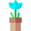 Plant icon 64x64