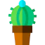 Cactus icon 64x64