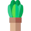 Plant icon 64x64