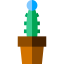 Cactus icon 64x64