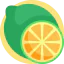 Lime icon 64x64