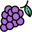 Grape 图标 64x64