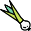 Spring onion 图标 64x64