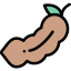 Tamarind 图标 64x64