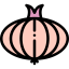 Onion 图标 64x64