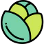 Cabbage 图标 64x64