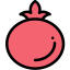 Pomegranate icon 64x64
