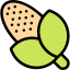 Corn icon 64x64