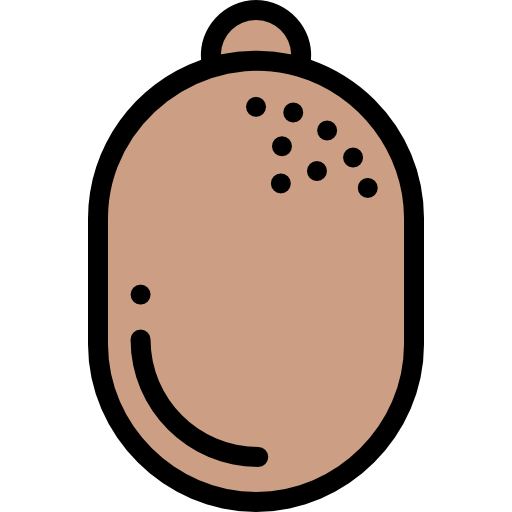 Kiwi 图标